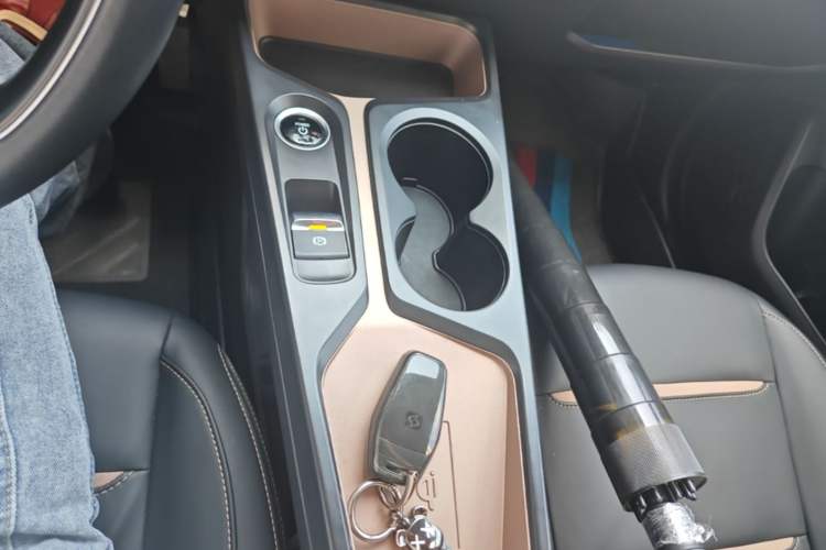 Used SOL E10X 2022 Flower Fairy Style Baby's Breath Gear Lever