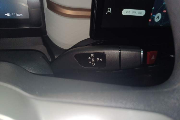 Used SOL E10X 2022 Flower Fairy Style Baby's Breath Gear Lever