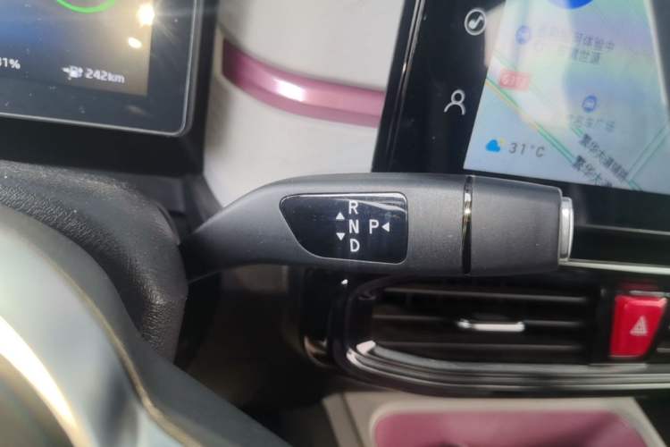 Used SOL E10X 2022 Flower Fairy Style Baby's Breath Gear Lever