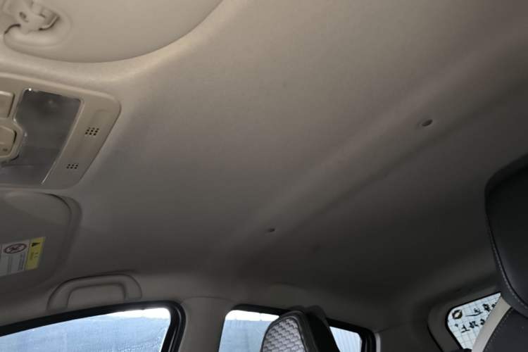 Used SOL E10X 2022 Flower Fairy Style Baby's Breath Headliner