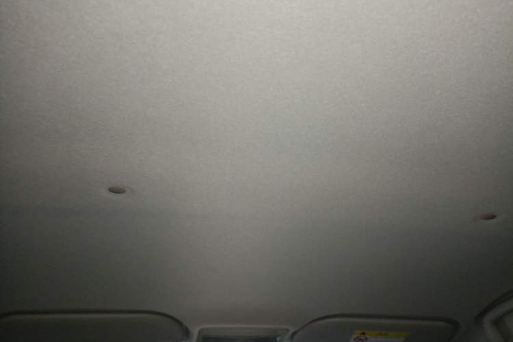 Used SOL E10X 2022 Flower Fairy Style Baby's Breath Headliner