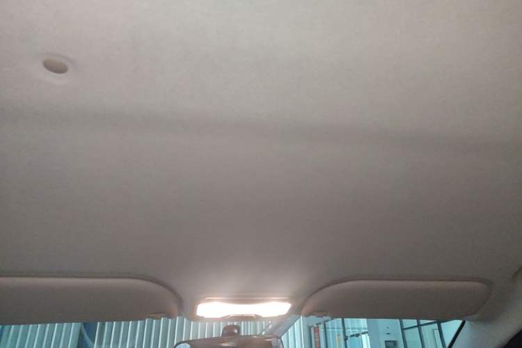 Used SOL E10X 2022 Flower Fairy Style Baby's Breath Headliner