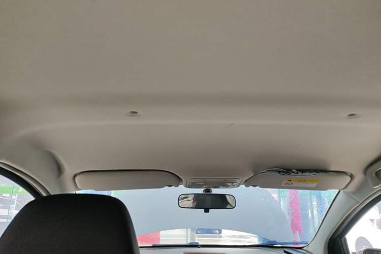Used SOL E10X 2022 Flower Fairy Design Dandelion Headliner