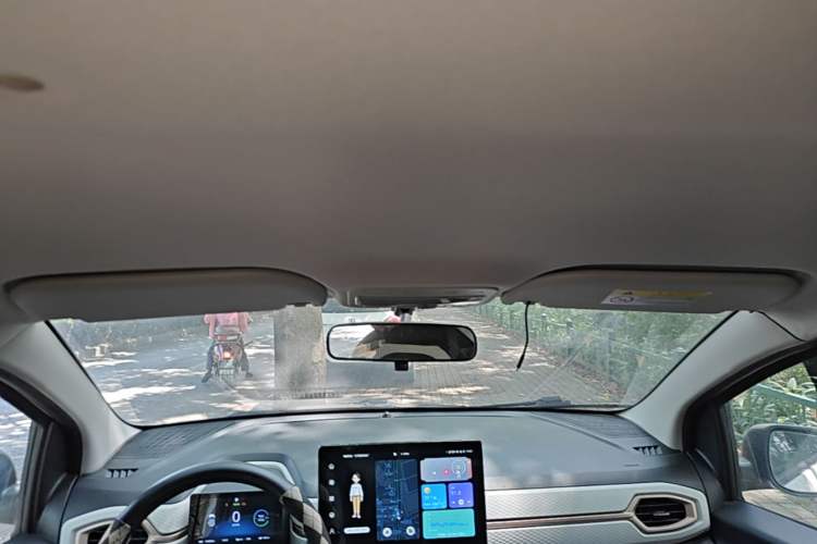 Used SOL E10X 2022 Flower Fairy Style Baby's Breath Headliner
