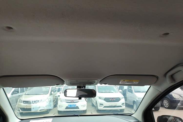 Used SOL E10X 2022 Flower Fairy Style Baby's Breath Headliner