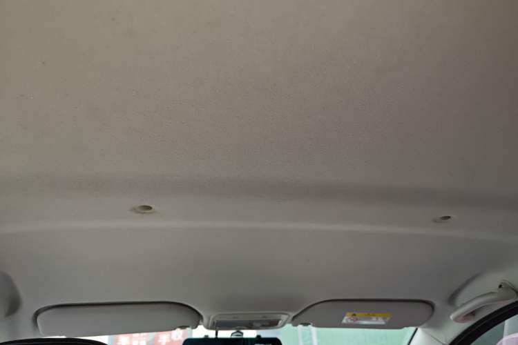 Used SOL E10X 2022 Flower Fairy Design Four-Leaf Clover Headliner