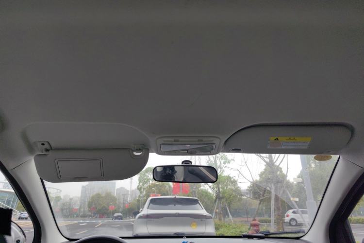 Used SOL E10X 2022 Flower Fairy Style Baby's Breath Headliner