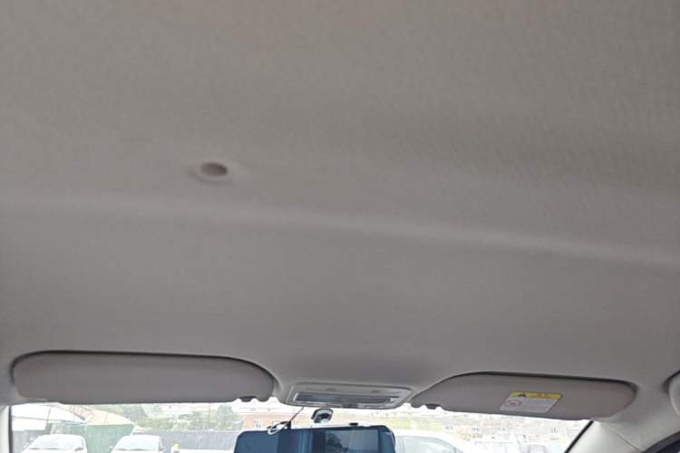 Used SOL E10X 2022 Flower Fairy Design Sunflower Headliner