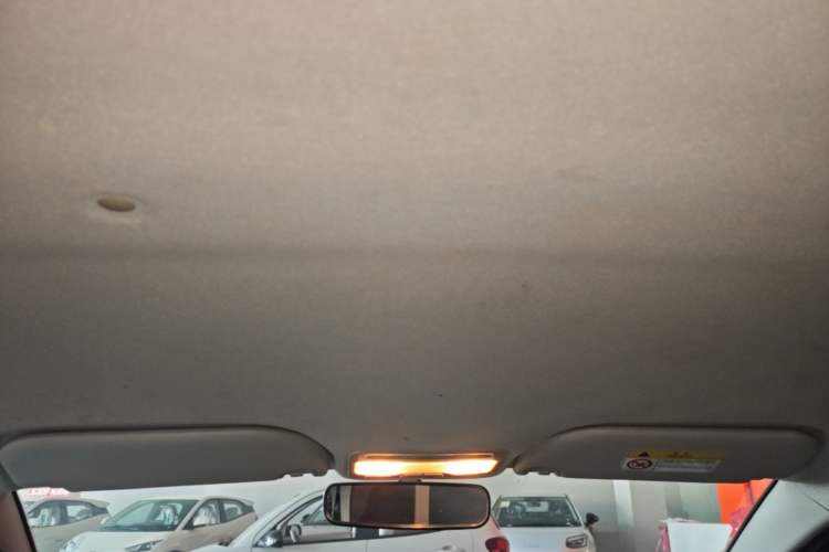 Used SOL E10X 2022 Flower Fairy Style Baby's Breath Headliner