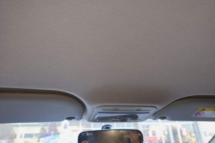 Used SOL E10X 2022 Flower Fairy Design Four-Leaf Clover Headliner