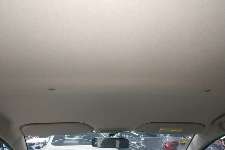 Used SOL E10X 2022 Flower Fairy Design Four-Leaf Clover Headliner