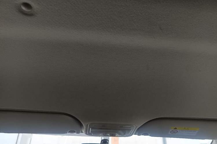 Used SOL E10X 2022 Flower Fairy Style Baby's Breath Headliner