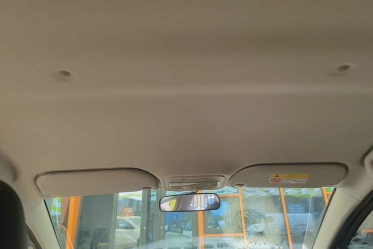 Used SOL E10X 2022 Flower Fairy Design Sunflower Headliner