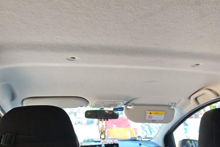 Used SOL E10X 2022 Flower Fairy Style Baby's Breath Headliner