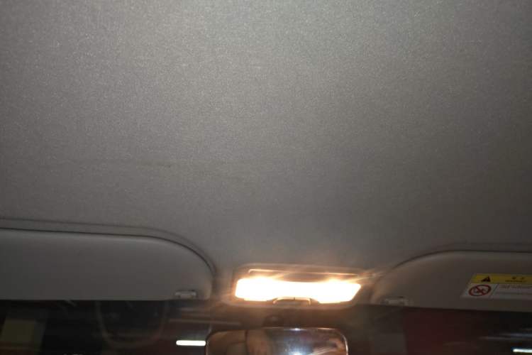 Used SOL E10X 2022 Flower Fairy Design Four-Leaf Clover Headliner