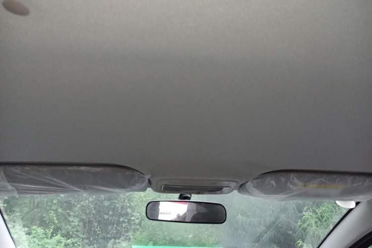 Used SOL E10X 2022 Flower Fairy Design Dandelion Headliner