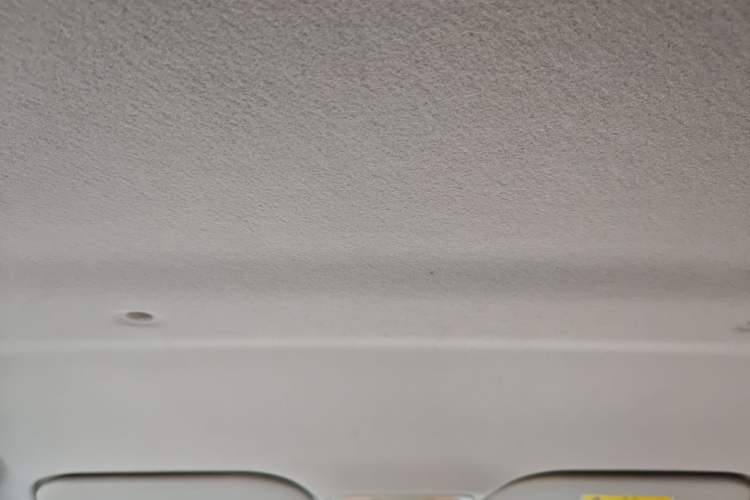 Used SOL E10X 2022 Flower Fairy Design Four-Leaf Clover Headliner