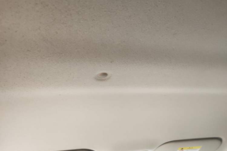 Used SOL E10X 2022 Flower Fairy Design Dandelion Headliner