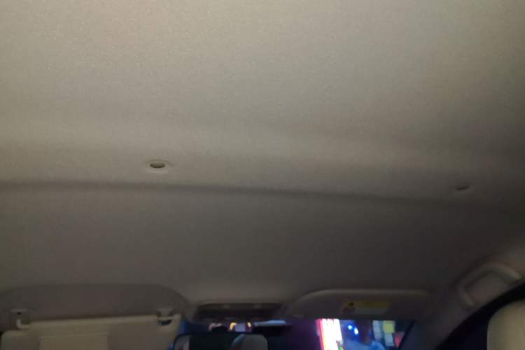 Used SOL E10X 2022 Flower Fairy Design Sunflower Headliner