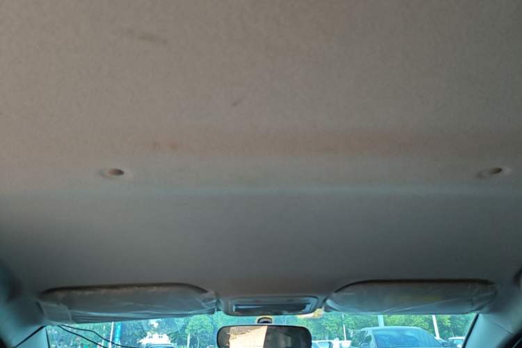 Used SOL E10X 2022 Flower Fairy Design Four-Leaf Clover Headliner