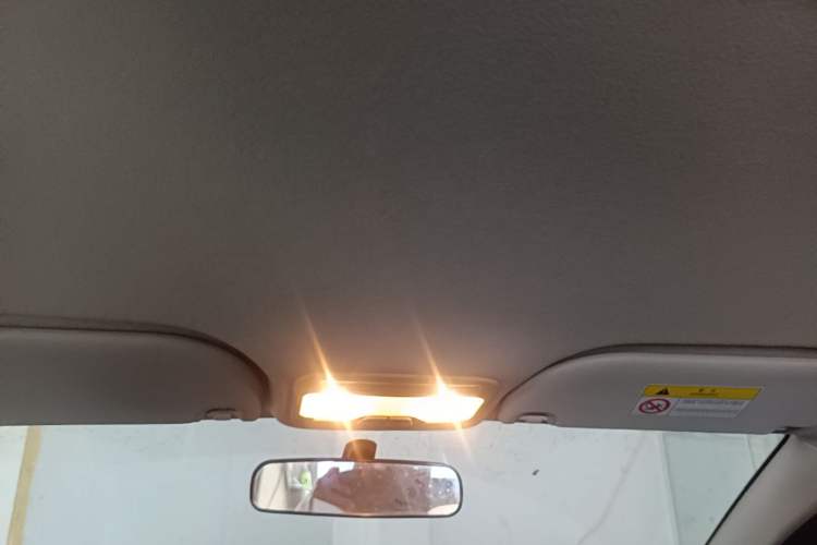 Used SOL E10X 2022 Flower Fairy Style Baby's Breath Headliner