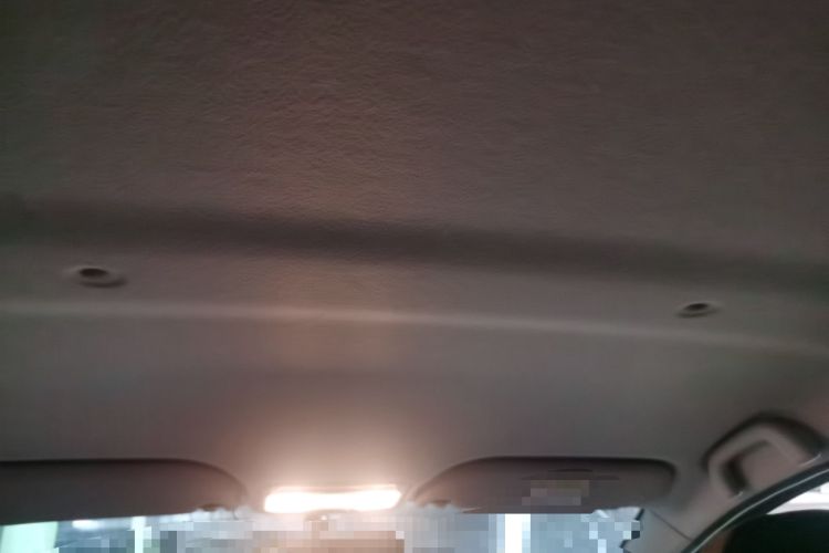 Used SOL E10X 2022 Flower Fairy Design Dandelion Headliner