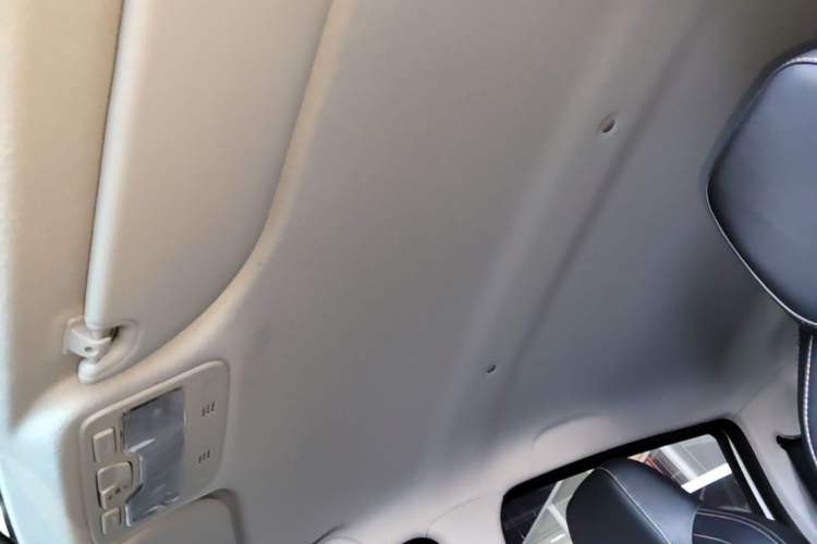 Used SOL E10X 2022 Flower Fairy Style Baby's Breath Headliner