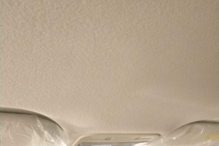 Used SOL E10X 2022 Flower Fairy Design Four-Leaf Clover Headliner
