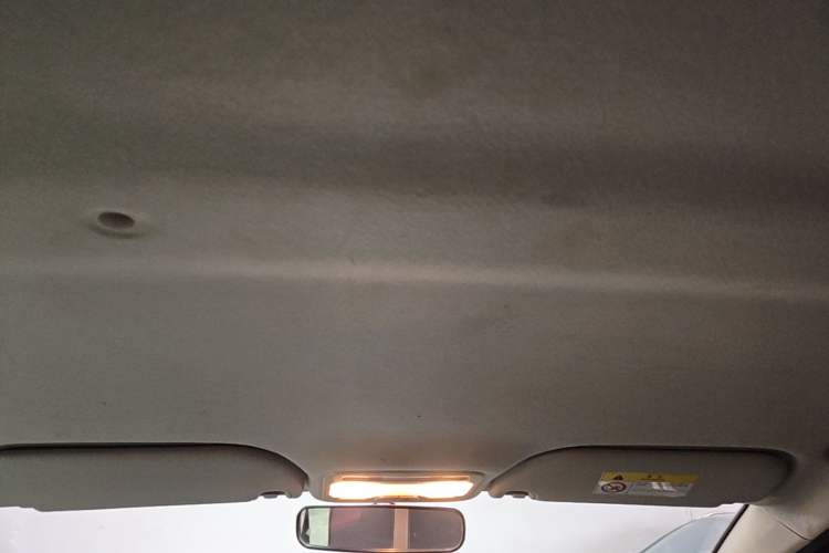 Used SOL E10X 2022 Flower Fairy Style Baby's Breath Headliner