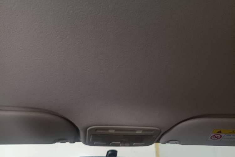 Used SOL E10X 2022 Flower Fairy Style Baby's Breath Headliner