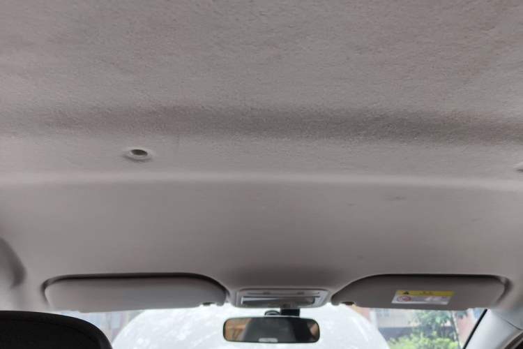 Used SOL E10X 2022 Flower Fairy Design Sunflower Headliner