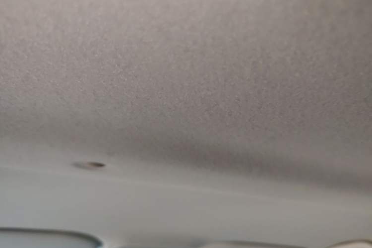 Used SOL E10X 2022 Flower Fairy Design Dandelion Headliner