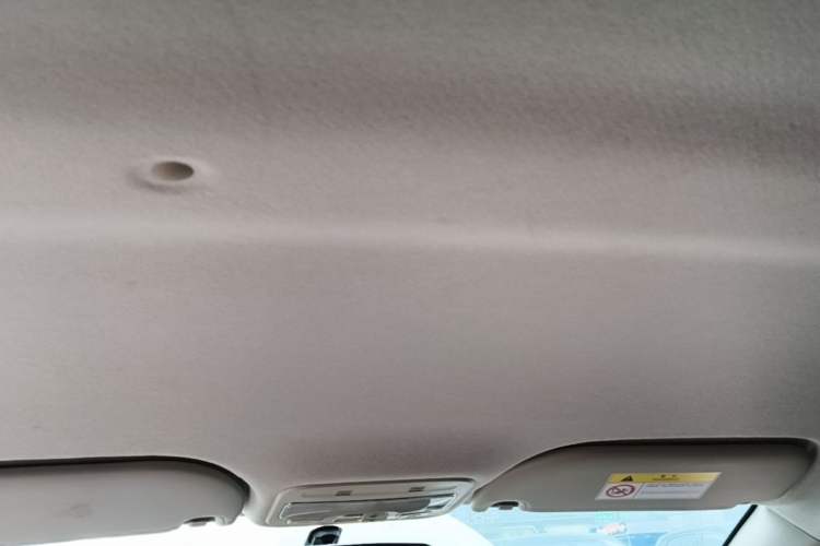 Used SOL E10X 2022 Flower Fairy Design Four-Leaf Clover Headliner