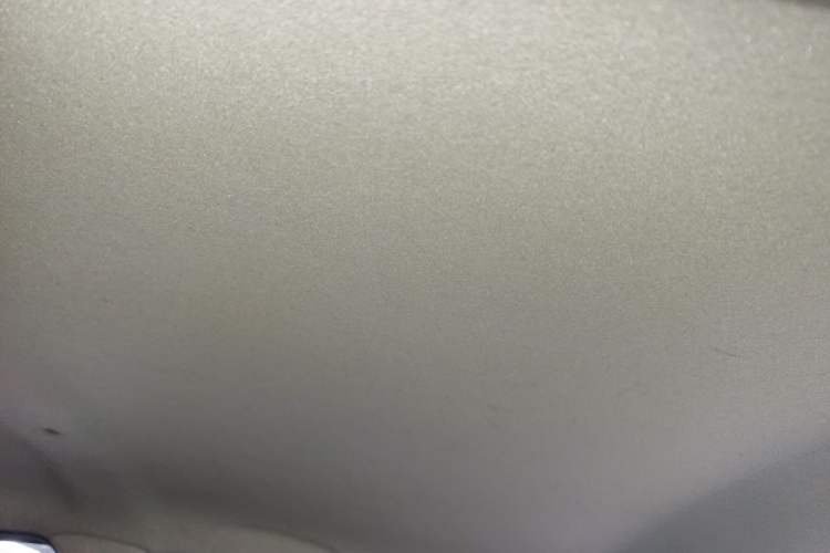 Used SOL E10X 2022 Flower Fairy Design Four-Leaf Clover Headliner