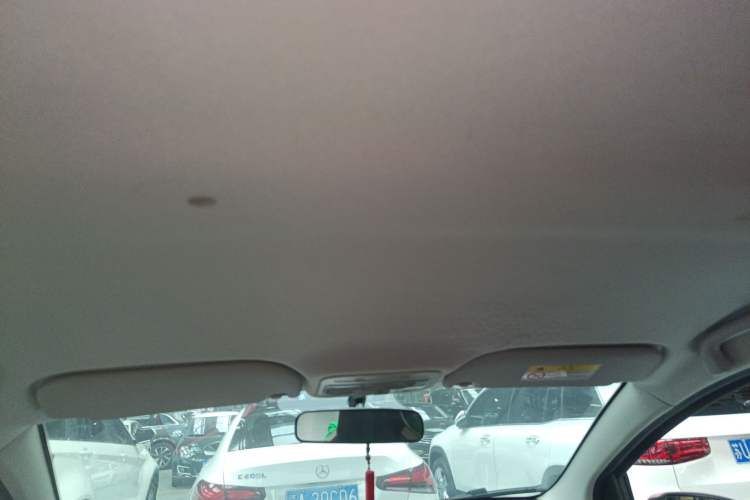 Used SOL E10X 2022 Flower Fairy Style Baby's Breath Headliner
