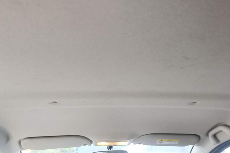 Used SOL E10X 2022 Flower Fairy Design Four-Leaf Clover Headliner