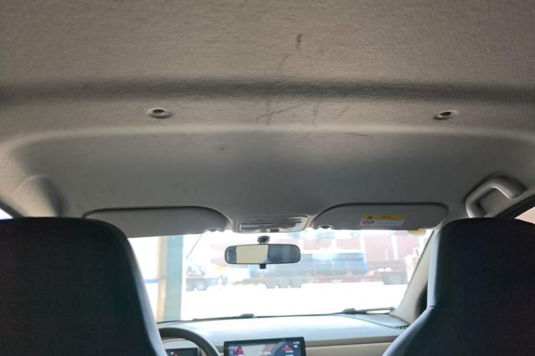 Used SOL E10X 2022 Flower Fairy Design Dandelion Headliner