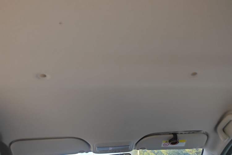 Used SOL E10X 2022 Flower Fairy Style Baby's Breath Headliner