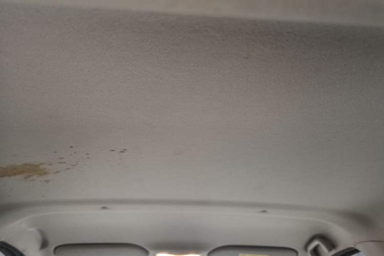 Used SOL E10X 2022 Flower Fairy Design Sunflower Headliner