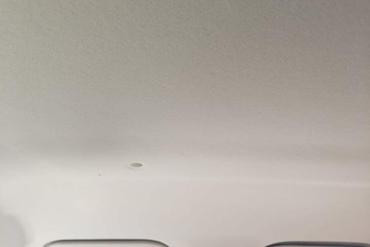Used SOL E10X 2022 Flower Fairy Design Four-Leaf Clover Headliner