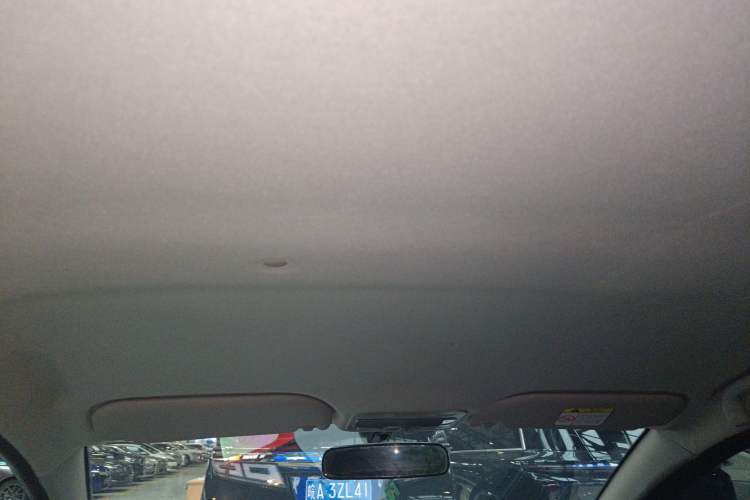 Used SOL E10X 2022 Flower Fairy Style Baby's Breath Headliner