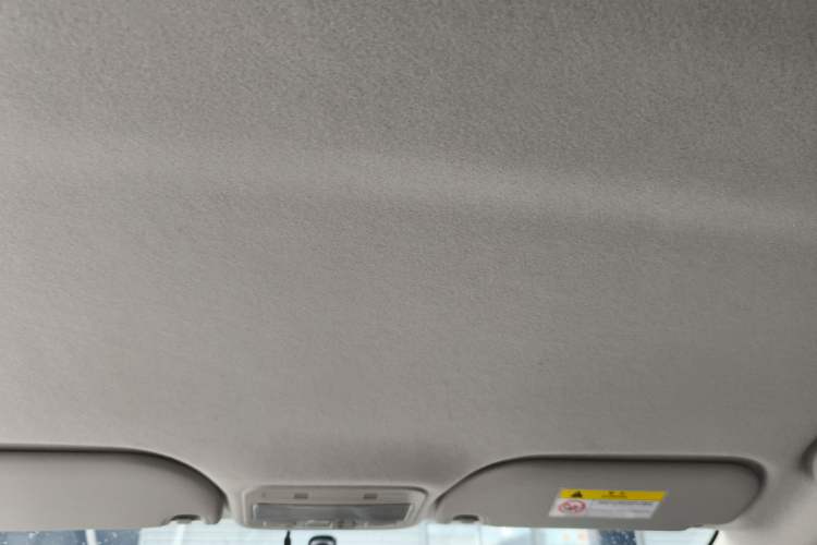 Used SOL E10X 2022 Flower Fairy Style Baby's Breath Headliner