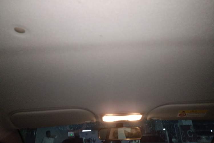Used SOL E10X 2022 Flower Fairy Style Baby's Breath Headliner