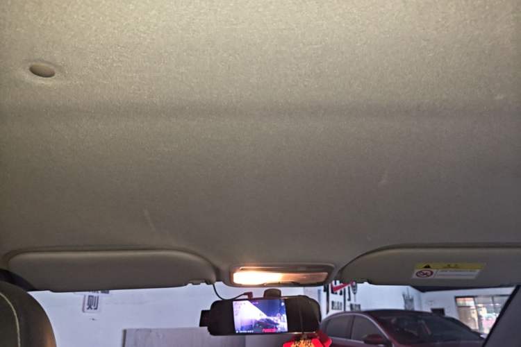 Used SOL E10X 2022 Flower Fairy Design Four-Leaf Clover Headliner