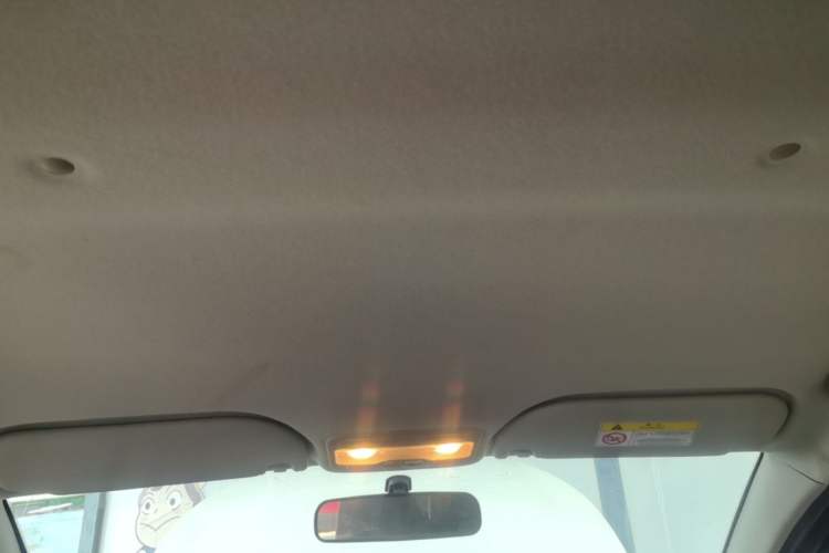 Used SOL E10X 2022 Flower Fairy Style Baby's Breath Headliner