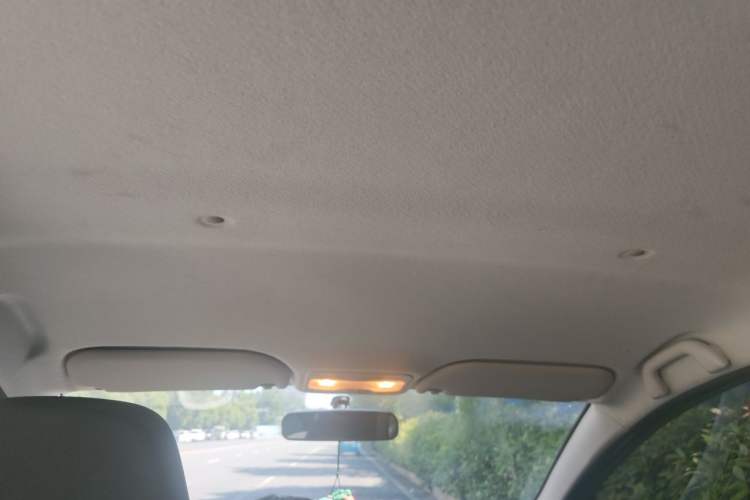 Used SOL E10X 2022 Flower Fairy Style Baby's Breath Headliner
