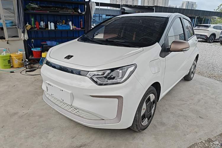 Used SOL E10X 2022 Flower Fairy Design Four-Leaf Clover Guazi used car, China used car export, Used car for sale, Used cars, Cheapest cars for sale
