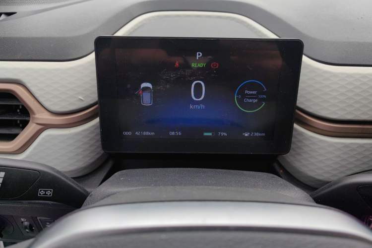 Used SOL E10X 2022 Flower Fairy Style Baby's Breath Instrument Cluster