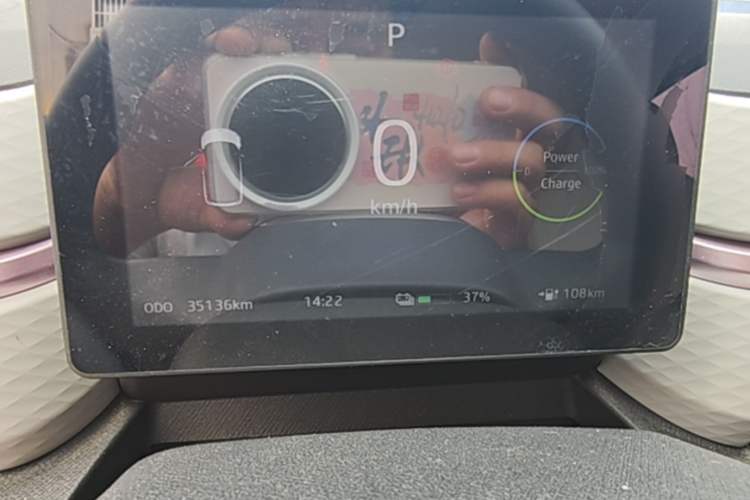 Used SOL E10X 2022 Flower Fairy Design Four-Leaf Clover Instrument Cluster