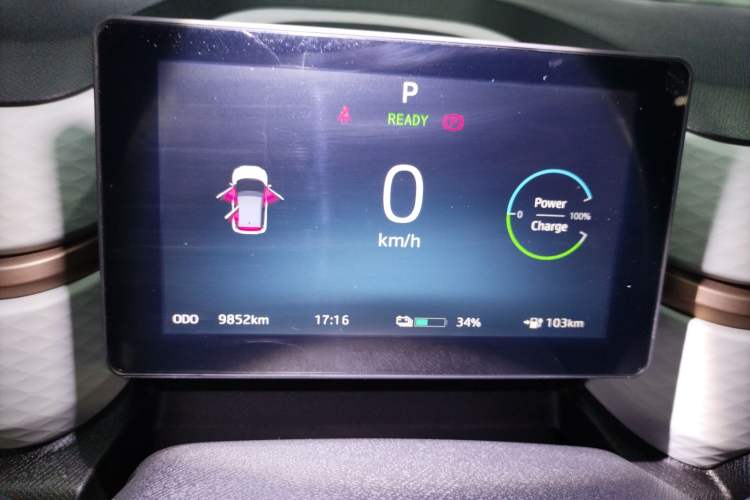 Used SOL E10X 2022 Flower Fairy Design Dandelion Instrument Cluster